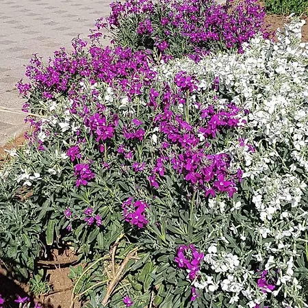 In 5669 Crikvenica